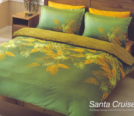 TAC Santa Cruise ������